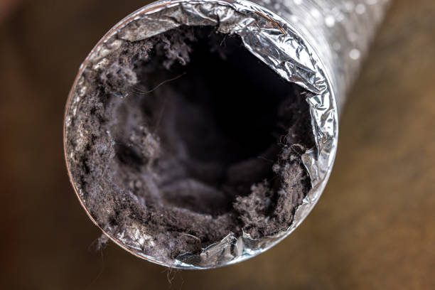 Best Duct Repair and Sealing Services in Seeley Lake, MT